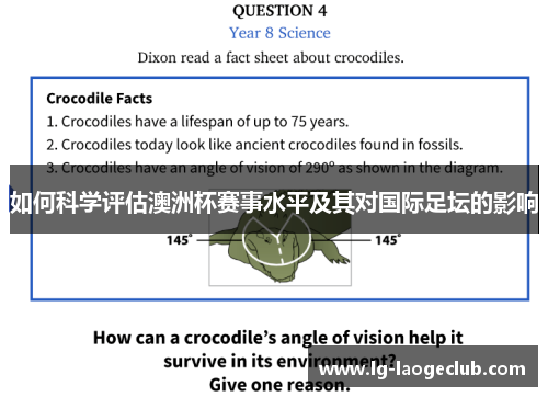 如何科学评估澳洲杯赛事水平及其对国际足坛的影响 如何科学评估澳洲杯赛事水平及其对国际足坛的影响