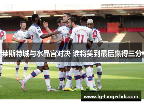莱斯特城与水晶宫对决 谁将笑到最后赢得三分 莱斯特城与水晶宫对决 谁将笑到最后赢得三分