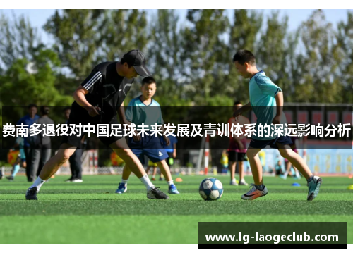 费南多退役对中国足球未来发展及青训体系的深远影响分析