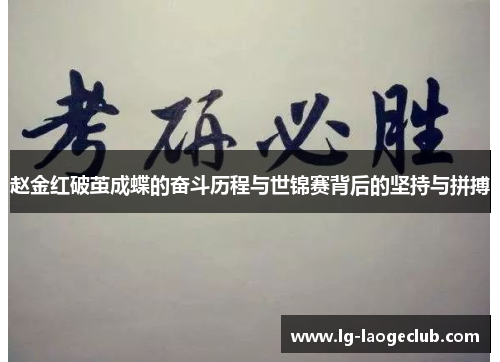 赵金红破茧成蝶的奋斗历程与世锦赛背后的坚持与拼搏