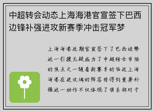 中超转会动态上海海港官宣签下巴西边锋补强进攻新赛季冲击冠军梦