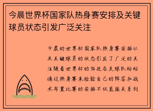 今晨世界杯国家队热身赛安排及关键球员状态引发广泛关注