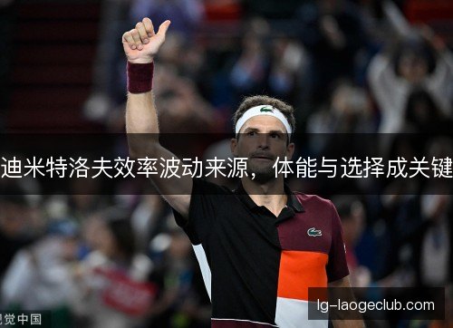 迪米特洛夫效率波动来源，体能与选择成关键
